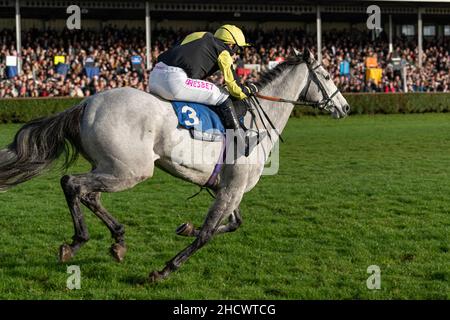 Prezioso Eleonora a Wincanton il giorno di Santo Stefano Foto Stock