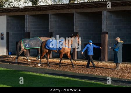 Butterwick Brook in esecuzione a Wincanton il giorno di Santo Stefano 2021 Foto Stock