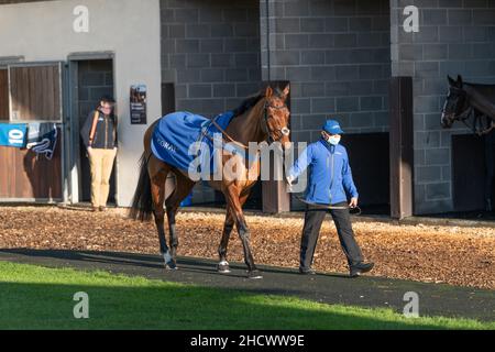 Butterwick Brook in esecuzione a Wincanton il giorno di Santo Stefano 2021 Foto Stock