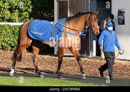 Butterwick Brook in esecuzione a Wincanton il giorno di Santo Stefano 2021 Foto Stock