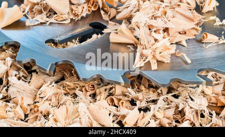 Lama circolare con inserti metallici affilati sostituibili in trucioli di legno arricciati. Primo piano di una parte di disco di taglio in acciaio. Denti in carburo cementato. Foto Stock
