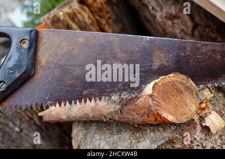 L'uomo sta tagliando il legno con la sega. Preparazione di legna da ardere per l'inverno Foto Stock