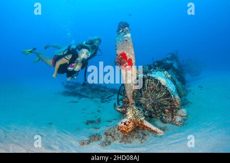 Divers (MR) su un WW II Corsair aereo da caccia fuori il sud-est Oahu, Hawaii. Foto Stock