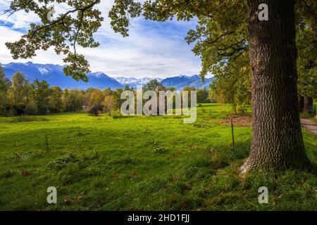 Prato a Murnau (Baviera, Germania) con vista sulle alpi Foto Stock