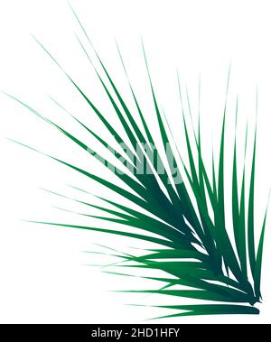 Verde e lussureggiante ramo di abete rosso. Ramo di abete. Vettore Illustrazione Vettoriale