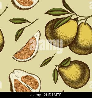Design sfondi con motivo senza cuciture Citrus. Stile inciso. Pomelo disegnato a mano. Illustrazione Vettoriale