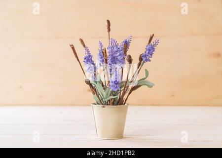 statice e fiori di caspia in vaso Foto Stock