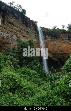 Escursioni verso la più bassa delle Sipi Falls nel Parco Nazionale del Monte Elgon, Uganda orientale Foto Stock