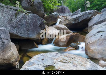 Il fiume Pemigewasset nell'area generale del mulino di Frank Whitehouse degli anni '1890 a Franconia Notch a Lincoln, New Hampshire, in un giorno estivo durin Foto Stock