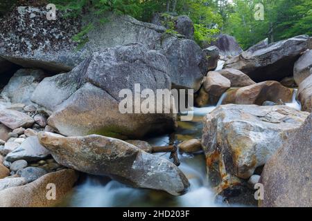 Il fiume Pemigewasset nella zona generale del sito di mulino di Frank W. Whitehouse nel 1890s a Franconia Notch a Lincoln, New Hampshire, in una giornata estiva Foto Stock
