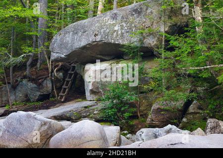 Scala di legno lungo il fiume Pemigewasset nella zona generale del sito di mulino di Frank W. Whitehouse nel 1890s a Franconia Notch a Lincoln, New Hampshire o Foto Stock