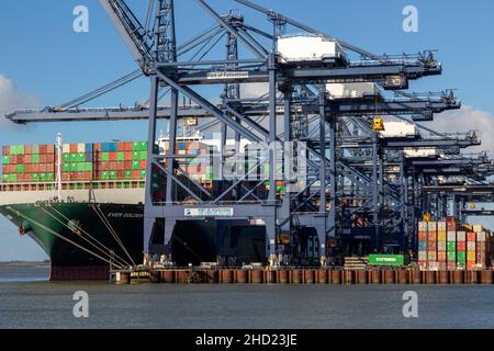 Mai Golden container nave autogru scarico, porto di Felixstowe, Suffolk, Inghilterra, Regno Unito Foto Stock