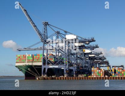 Mai Golden container nave autogru scarico, porto di Felixstowe, Suffolk, Inghilterra, Regno Unito Foto Stock