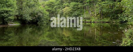 Il fiume Derwent a Grange villaggio, Borrowdale valle, Lake District National Park, Cumbria, Inghilterra, Regno Unito Foto Stock