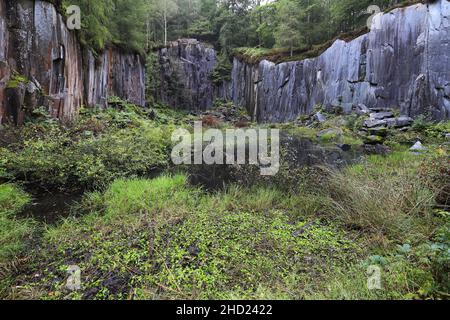 La riserva naturale di Dolt Quarry, la valle di Borrowdale Pass, il Lake District National Park, Cumbria, Inghilterra, Regno Unito Foto Stock