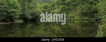 Il fiume Derwent a Grange villaggio, Borrowdale valle, Lake District National Park, Cumbria, Inghilterra, Regno Unito Foto Stock