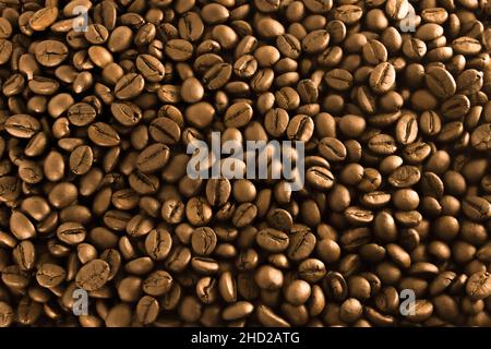 Caffè dorato, texture di fondo, primo piano. Chicchi di arabica lucenti. Foto Stock