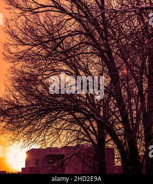Un enorme sole di tramonto con l'edificio e l'albero Foto Stock