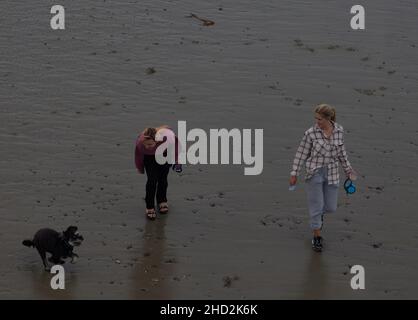Persone che camminano il cane sulla spiaggia a bassa marea. Foto Stock
