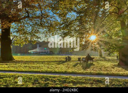 Un'esplosione di sole mattutino in un parco verde Foto Stock