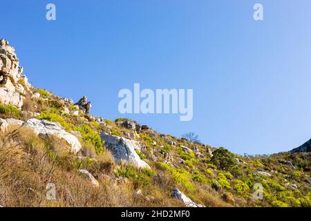 Aspro paesaggio di montagna con fynbos macchia flora in Città del Capo Sud Africa Foto Stock
