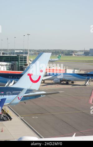 Schiphol, Paesi Bassi - 28 ottobre 2021: Ala di un aereo di TUI all'aeroporto di Schiphol con logo Foto Stock