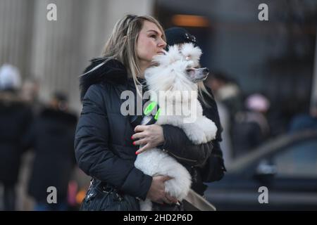 Belgrado durante le vacanze invernali, Serbia Foto Stock