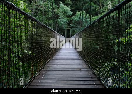 Ponte sospeso sul fiume in verde foresta vecchia crescita, parco naturale Fragas do Eume, Galizia, Spagna Foto Stock