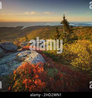 Colore autunnale sulla montagna Cadillac nel Parco Nazionale di Acadia nel Maine Foto Stock