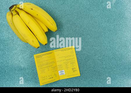 Banane gialle e carta di vaccino con bollo di gomma di vaccino covid-19 su sfondo turchese come acqua. Viaggi e convivid-19 tema. Foto Stock