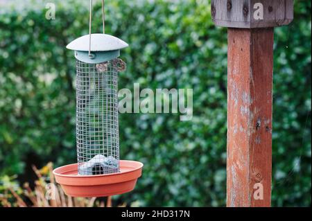 Alimentatore di uccelli vuoto appeso sulla casa di uccelli in giardino Foto Stock