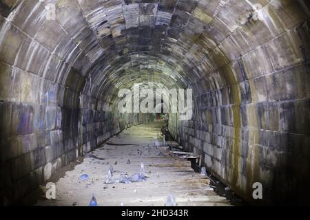 Formazioni di ghiaccio all'interno del tunnel Merriton, noto anche come Blue Ghost Tunnel o Grand Trunk Railway Tunnel. Ontario, Canada. Foto Stock