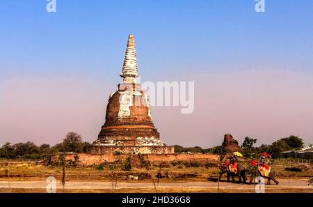 Parco storico di Ayutthaya con elefanti e gente che cavalcano su di loro. Foto Stock