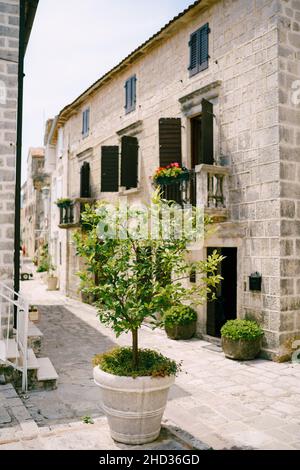 Casa in pietra accogliente con persiane, piccoli balconi, alberi in pentole Foto Stock