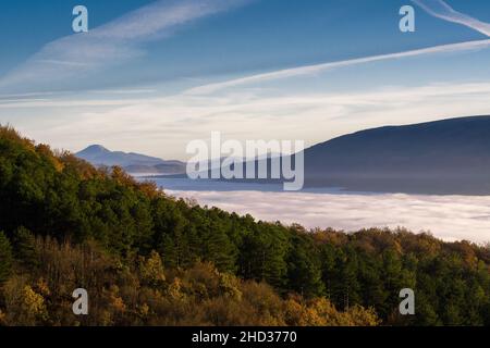 Splendida vista su una massiccia nebbia che copre gli alberi Foto Stock