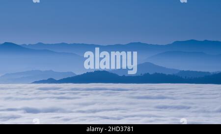 Splendida vista su una massiccia nebbia che copre gli alberi Foto Stock