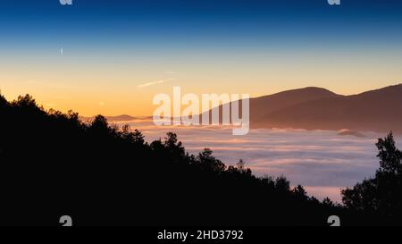 Splendida vista su una massiccia nebbia che copre gli alberi Foto Stock