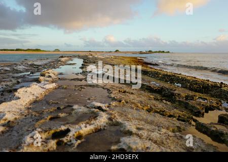 Affioramento roccioso a Saltstagno Beach vicino Hanapepe su Kauai Foto Stock