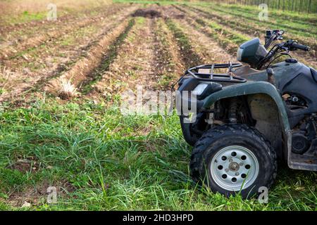 Farm ATV siede da file di giardino appena piantati Foto Stock