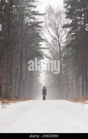 Bosco innevato sentiero in mezzo alla foresta di inverno Foto stock - Alamy