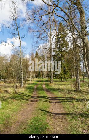 Paesaggi primaverili con un sentiero attraverso il pascolo Foto Stock