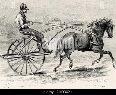 Vecchio carro americano a ruota singola trainato da un cavallo, USA. Antica illustrazione del 19 ° secolo inciso da la Nature 1885 Foto Stock