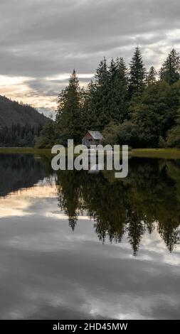 Colpo verticale di un lago scuro vicino ad una foresta sulla riva Foto Stock