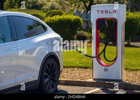 Grantham, Regno Unito - Maggio 30th 2021: Sovralimentatore Tesla collegato a un modello Tesla bianco x. In un'area di servizio autostradale. Foto di alta qualità Foto Stock