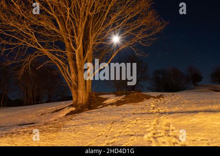 Saint Margrethenberg, Svizzera, 19 dicembre 2021 Luna piena di notte dietro un albero e un campo coperto di neve fatto con modus bullp Foto Stock