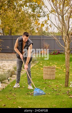 L'uomo rastrellante lascia sul prato in giardino Foto Stock