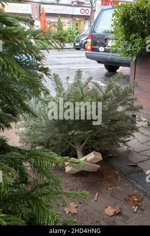 03 gennaio 2022, Hessen, Francoforte sul meno: Un albero di Natale si trova in strada. Dopo la fine dell'anno, molti alberi di Natale finiscono per la strada. Nelle prime settimane di gennaio vengono raccolte. Foto: Niels Babbel/dpa Foto Stock