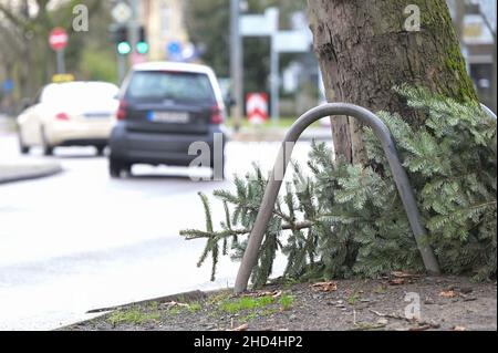 03 gennaio 2022, Hessen, Francoforte sul meno: Auto guidare dietro un albero di Natale. Dopo la fine dell'anno, molti alberi di Natale finiscono per la strada. Nelle prime settimane di gennaio vengono prelevati. Foto: Niels Babbel/dpa Foto Stock