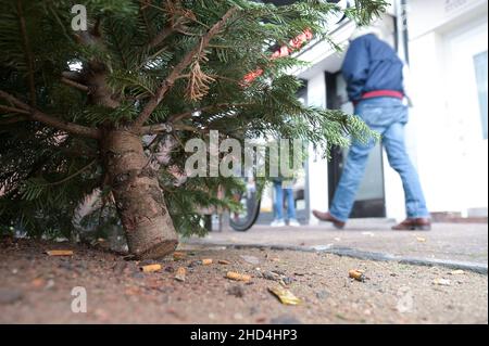 03 gennaio 2022, Hessen, Francoforte sul meno: Un uomo cammina dietro un albero di Natale in piedi per strada. Dopo la fine dell'anno, molti alberi di Natale finiscono per la strada. Nelle prime settimane di gennaio vengono prelevati. Foto: Niels Babbel/dpa Foto Stock