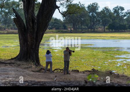 I turisti con le macchine fotografiche e teleobiettivi scattano foto durante il safari al Parco Nazionale di Luangwa Sud, Zambia Foto Stock